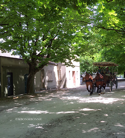フォンテーヌブロー宮殿前の馬車